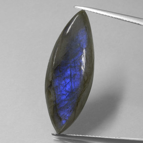 Labradorita azul natural de 18,92 ct, marquesa, transparente