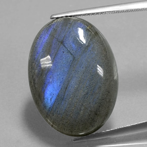 Labradorita Brillo azul grisáceo natural de 21.99 ct, Corte Óvalo, Transparente