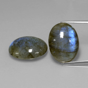 Gemas de labradorita azul natural de  ct, corte óvalo, translúcido