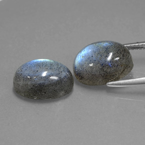 Gemas de labradorita azul natural de  ct, corte óvalo, translúcido