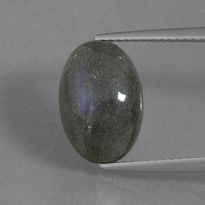 Labradorita Brillo azul grisáceo natural de 5.82 ct, Corte Óvalo, Translúcido
