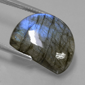 Labradorita Brillo azul grisáceo natural de 12.78 ct, Forma elegante, Translúcido