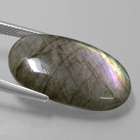 Labradorita Brillo azul grisáceo natural de 18.41 ct, Corte Óvalo, Translúcido