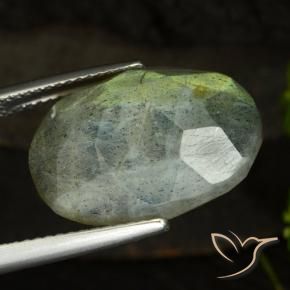 Labradorita Multicolor natural de 14.58 ct, Ovalada, Translúcido