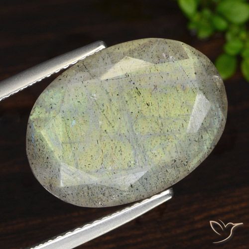 11.50ct Natural Multicolor labradorita, Ovalada, Translúcido