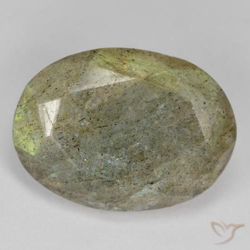 11.84ct Natural Multicolor labradorita, Ovalada, Translúcido
