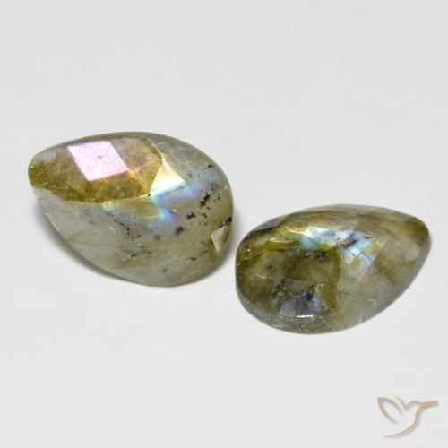 Gemas de Labradorita Multicolor natural de 15.67 ct, En forma de pera, Translúcido