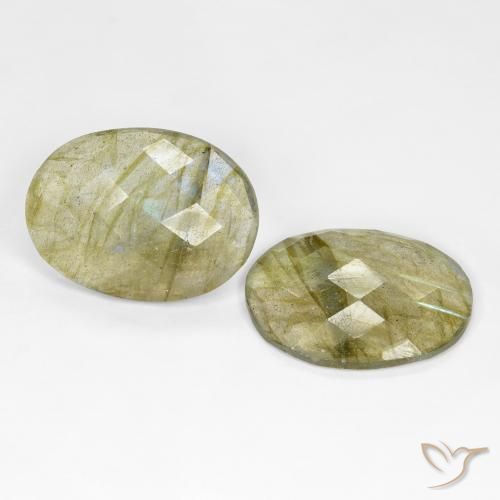Gemas de labradorita Multicolor natural de 16.61 ct, Ovalada, Translúcido