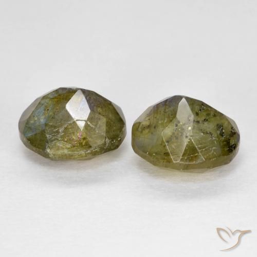 Gemas de labradorita Multicolor natural de 2.50 ct, Ovalada, Translúcido