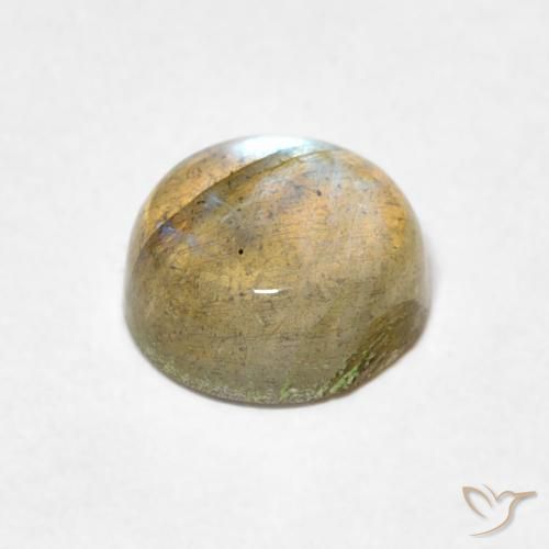 Labradorita Multicolor natural de 1.57 ct, Redondo, Transparente