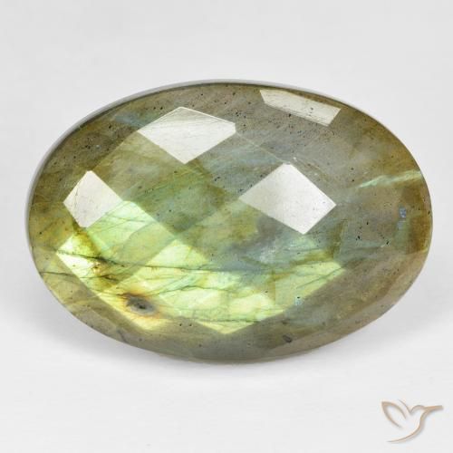 32.68ct Natural Multicolor labradorita, Ovalada, Opaco
