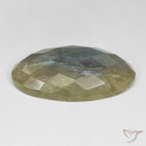 Labradorita Multicolor natural de 35.20 ct, Ovalada, Opaco