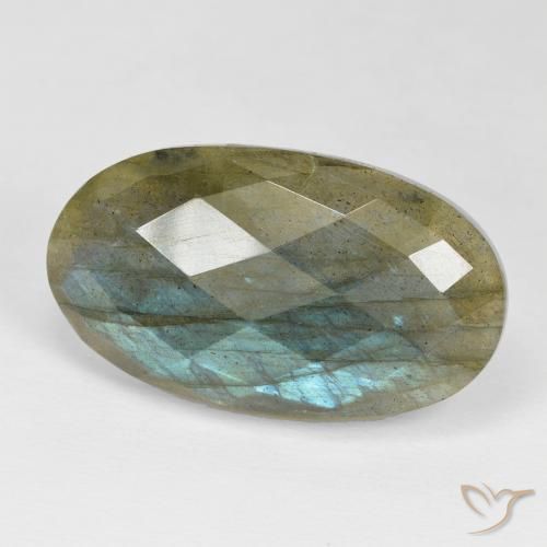 24.29ct Natural Multicolor labradorita, Ovalada, Opaco