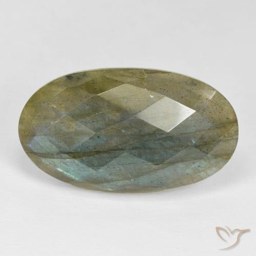Labradorita Multicolor natural de 24.29 ct, Ovalada, Opaco