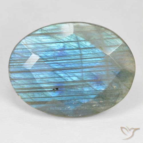 31.61ct Natural Multicolor labradorita, Ovalada, Opaco