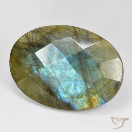 Labradorita Multicolor natural de 36.40 ct, Ovalada, Opaco