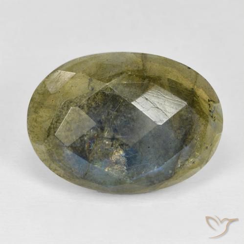 16.89ct Natural Multicolor labradorita, Ovalada, Opaco
