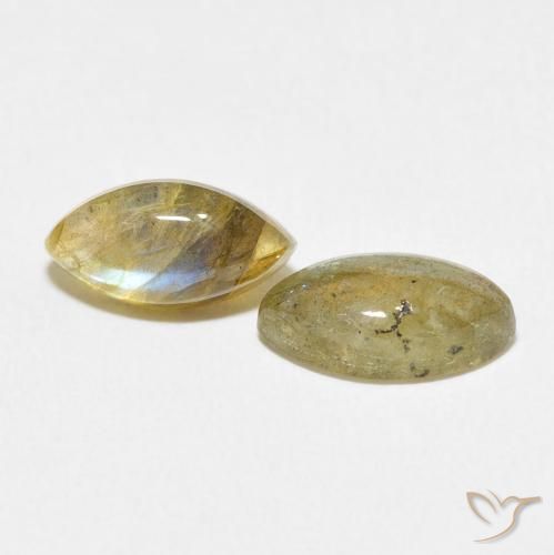 Gemas de Labradorita Multicolor natural de 2.85 ct, Marquesa, Translúcido