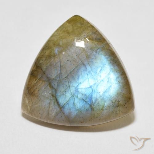 13.86ct Natural Multicolor labradorita, Trillón, Translúcido