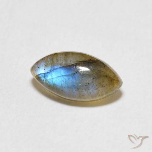 Labradorita Multicolor natural de 1.46 ct, Marquesa, Translúcido