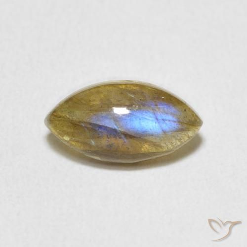 1.44ct Natural Multicolor Labradorita, Marquesa, Translúcido