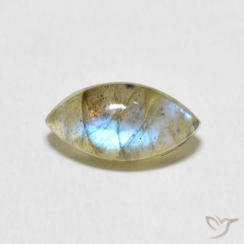 1.59ct Natural Multicolor labradorita, Marquesa, Translúcido