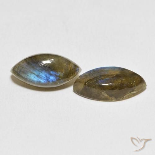 Gemas de Labradorita Multicolor natural de 6.55 ct, Marquesa, Translúcido