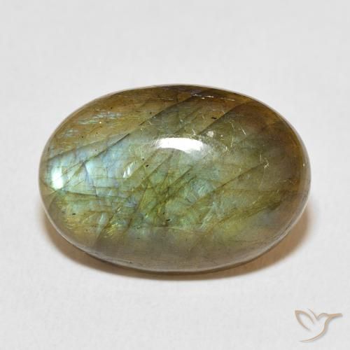 12.53ct Natural Multicolor labradorita, Ovalada, Translúcido