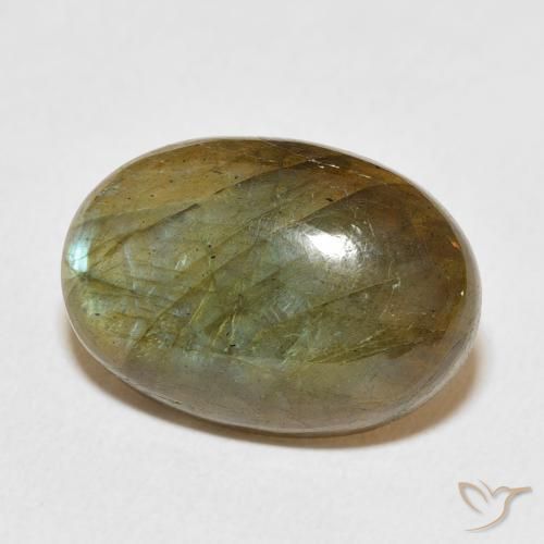 Labradorita Multicolor natural de 12.53 ct, Ovalada, Translúcido
