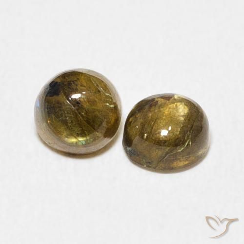 Gemas de Labradorita Multicolor natural de 1.37 ct, Redondo, Translúcido