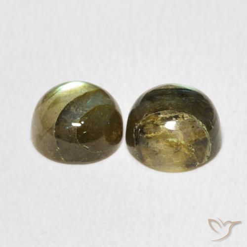 Gemas de Labradorita Multicolor natural de 3.55 ct, Redondo, Translúcido