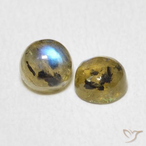Gemas de Labradorita Multicolor natural de 1.34 ct, Redondo, Translúcido