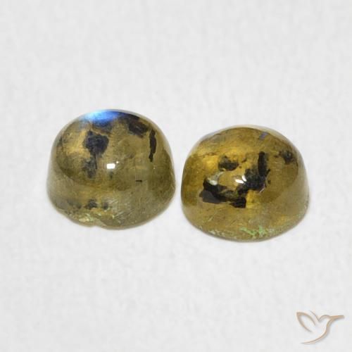 Gemas de Labradorita Multicolor natural de 1.34 ct, Redondo, Translúcido