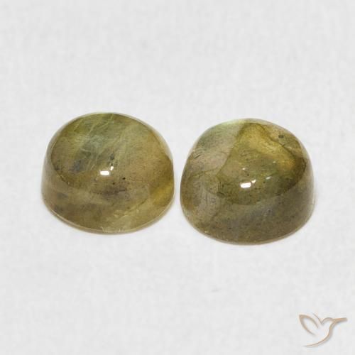 Gemas de Labradorita Multicolor natural de 2.50 ct, Redondo, Translúcido