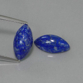 Gemas de lapislázuli azul natural de  ct, marquesa, opaco