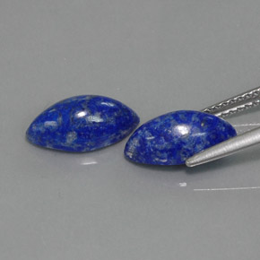Gemas de lapislázuli azul natural de  ct, marquesa, opaco