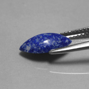Lapislázuli azul natural de 1,60 ct, marquesa, opaco