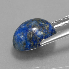 Lapislázuli azul natural de 3,52 ct, corte óvalo, opaco