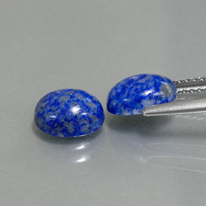 Gemas de lapislázuli azul natural de  ct, corte óvalo, opaco