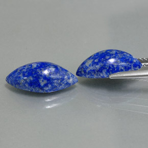 Gemas de lapislázuli azul natural de  ct, marquesa, opaco