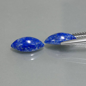 Gemas de lapislázuli azul natural de  ct, marquesa, opaco