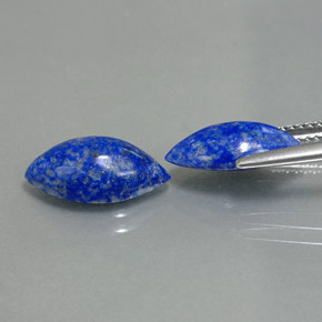 Gemas de lapislázuli azul natural de  ct, marquesa, opaco