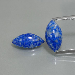 Gemas de lapislázuli azul natural de  ct, marquesa, opaco