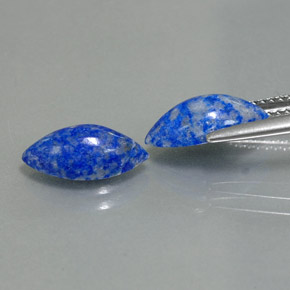 Gemas de lapislázuli azul natural de  ct, marquesa, opaco