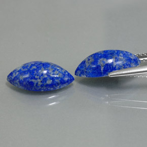 Gemas de lapislázuli azul natural de  ct, marquesa, opaco