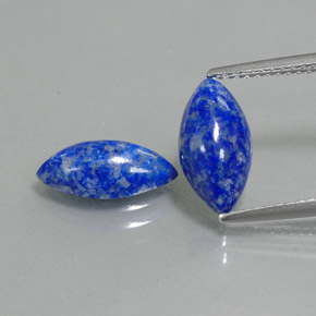 Gemas de lapislázuli azul natural de  ct, marquesa, opaco