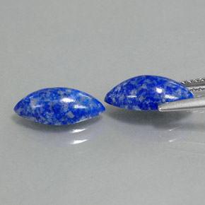 Gemas de lapislázuli azul natural de  ct, marquesa, opaco