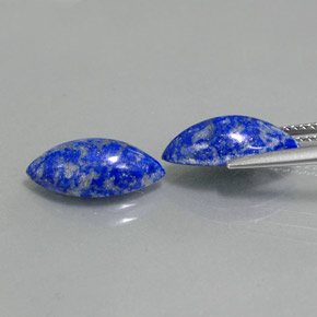 Gemas de lapislázuli azul natural de  ct, marquesa, opaco