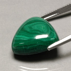 Malaquita verde natural de 34,16 ct, trillón, opaco