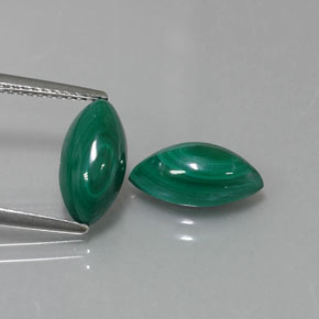 Gemas de malaquita verde natural de  ct, marquesa, opaco